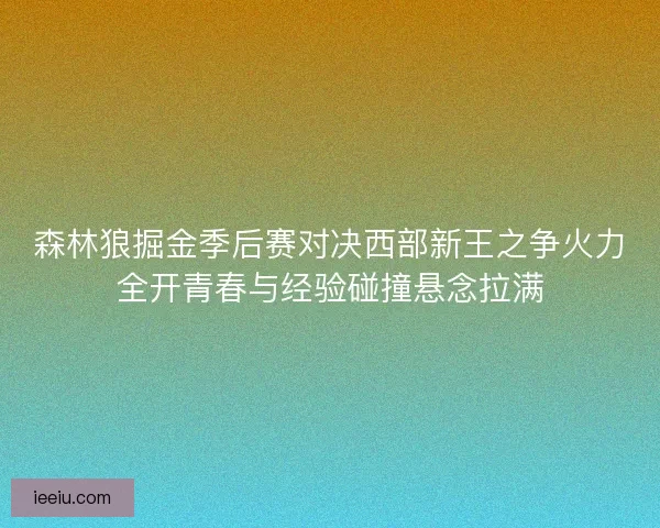 森林狼掘金季后赛对决西部新王之争火力全开青春与经验碰撞悬念拉满