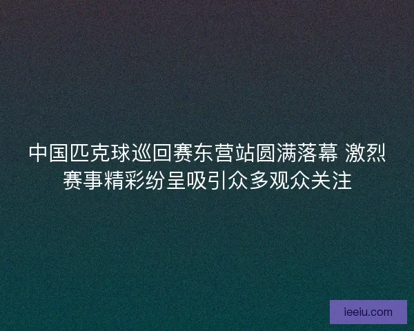 中国匹克球巡回赛东营站圆满落幕 激烈赛事精彩纷呈吸引众多观众关注